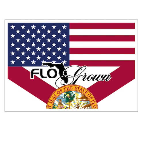 Double Stack Flag Decal