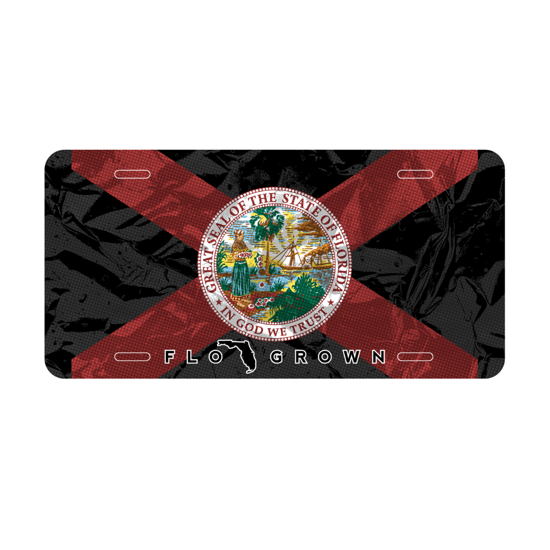 License plate with Florida flag design and state seal