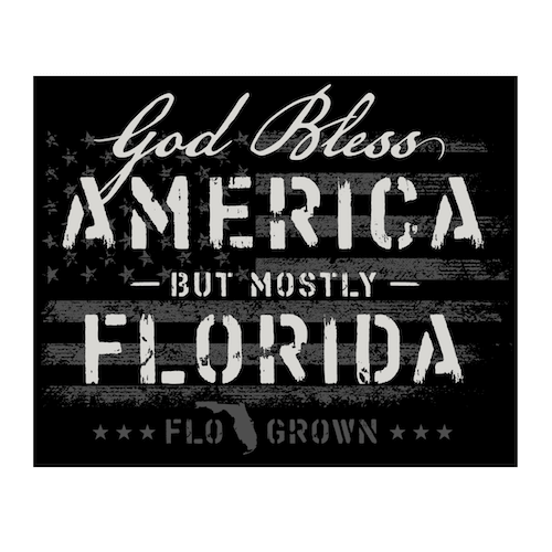 A decal with a black and white design featuring text 'God Bless America - But mostly Florida' with a stylized American flag background.
