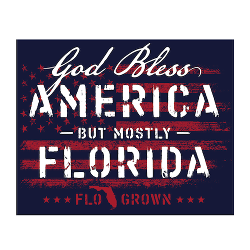A decal with a navy background featuring text 'God Bless AMERICA - but mostly FLORIDA' with an American flag in red