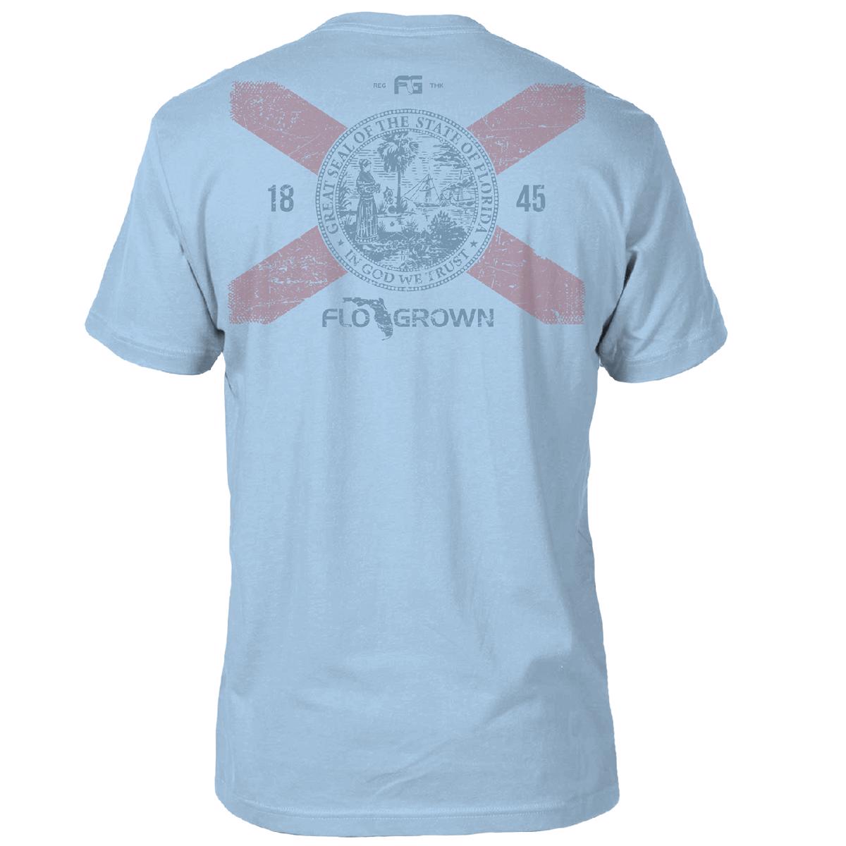 Scratch Flag Tee (back)