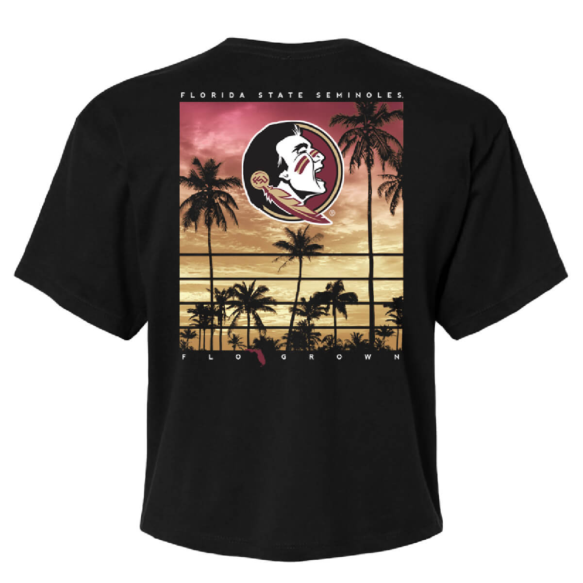 Florida State Seminoles Sunset Poster Crop Top - Back