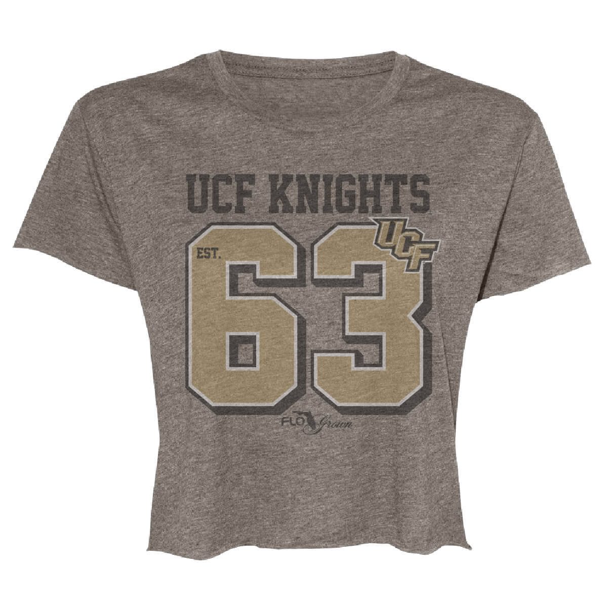 UCF Knights Vintage Jersey Crop Top (Ash)