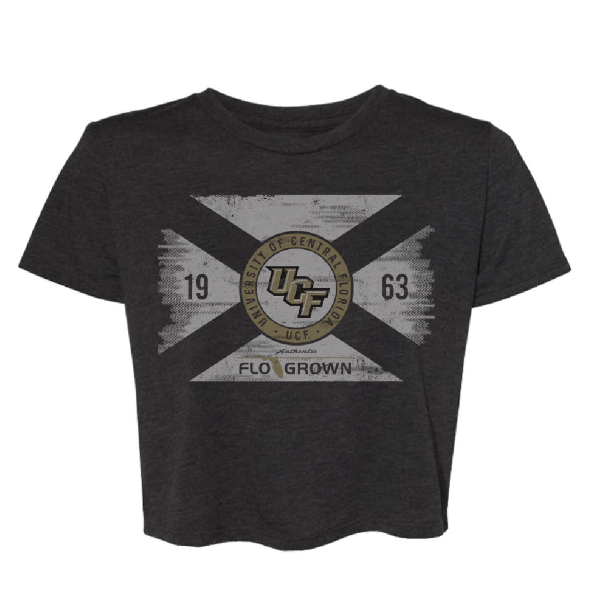 UCF Knights Washed Flag Crop Top