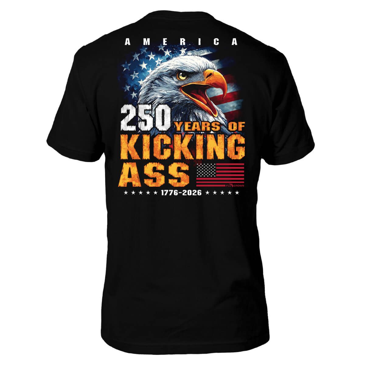Black tee with a graphic of an eagle over an American flag and the text '250 YEARS OF KICKING ASS'.