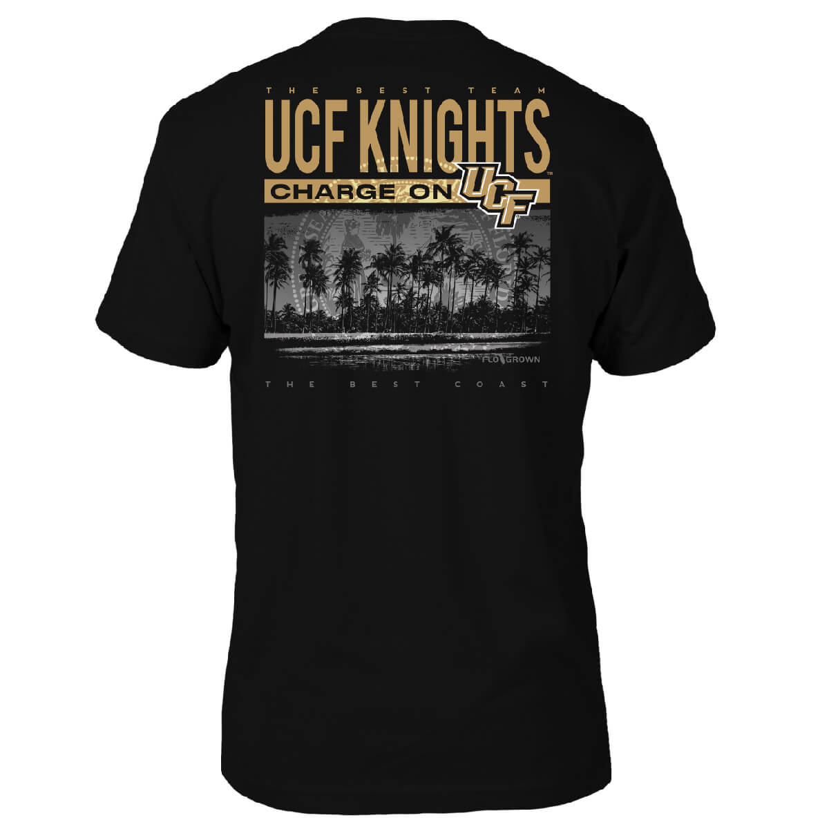 UCF Knights Best Beach Tee