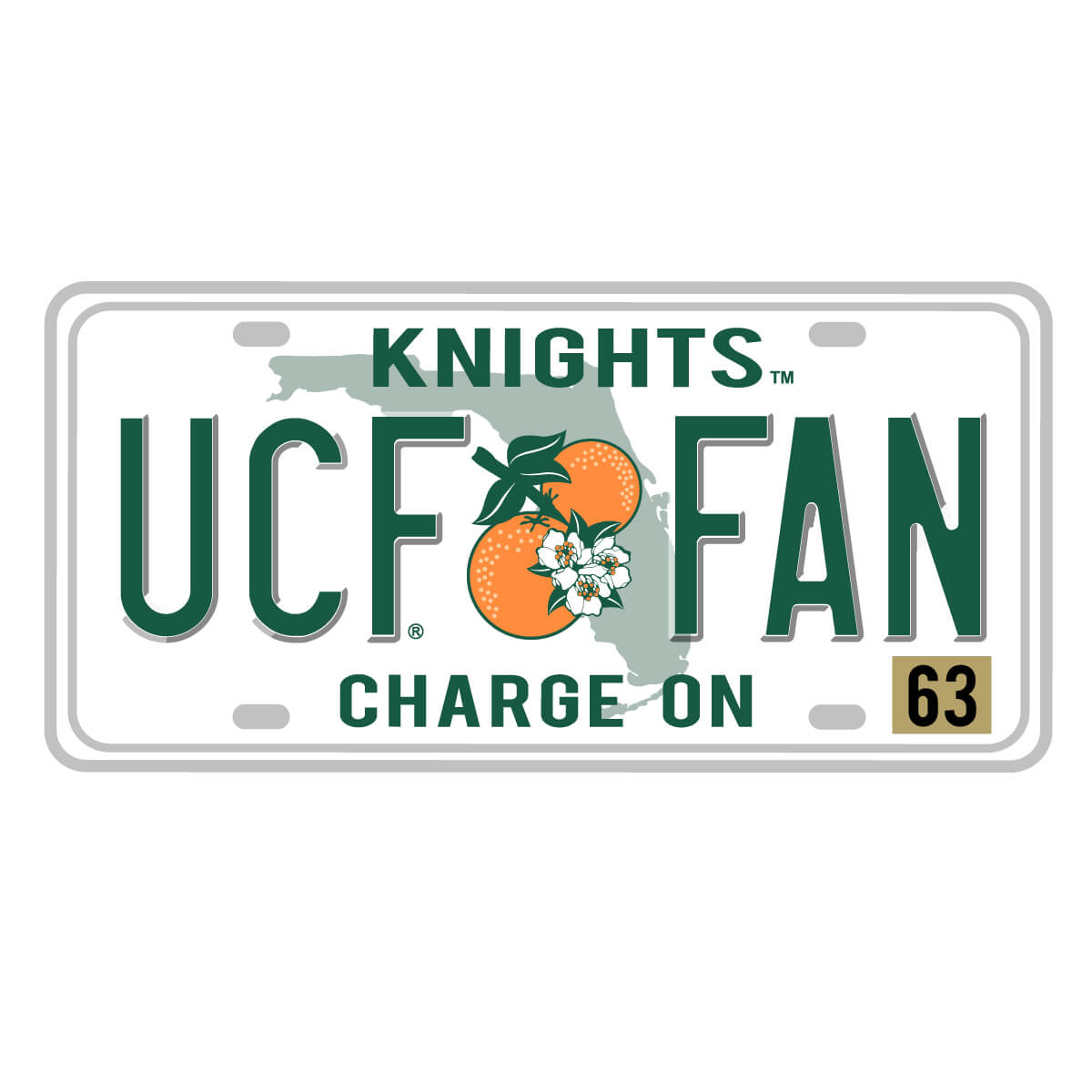 UCF Knights Fan Plate Decal