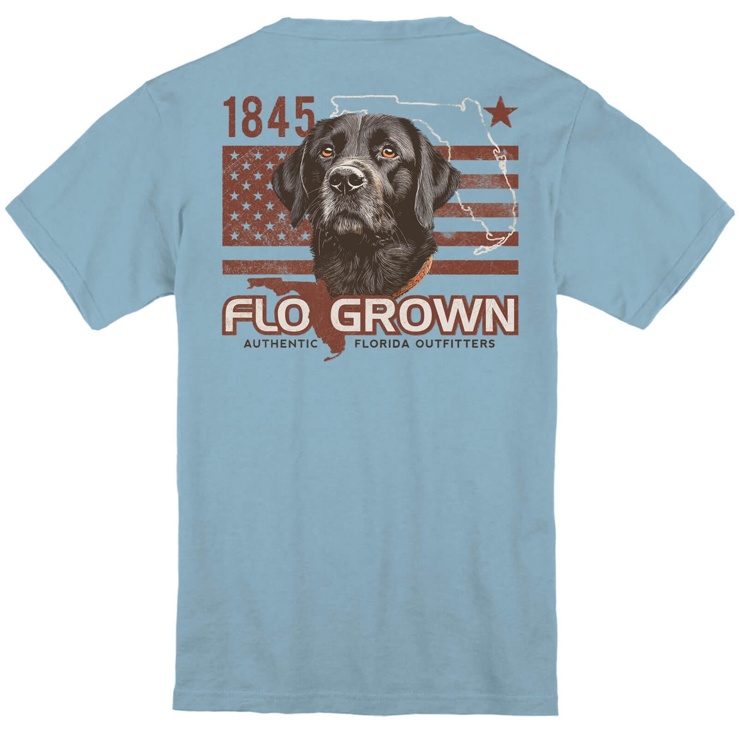 Light blue t-shirt with a graphic of a dog and American flag design on the back.