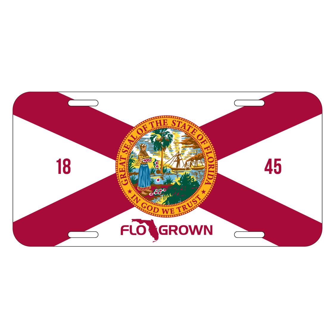 Florida Flag License Plate