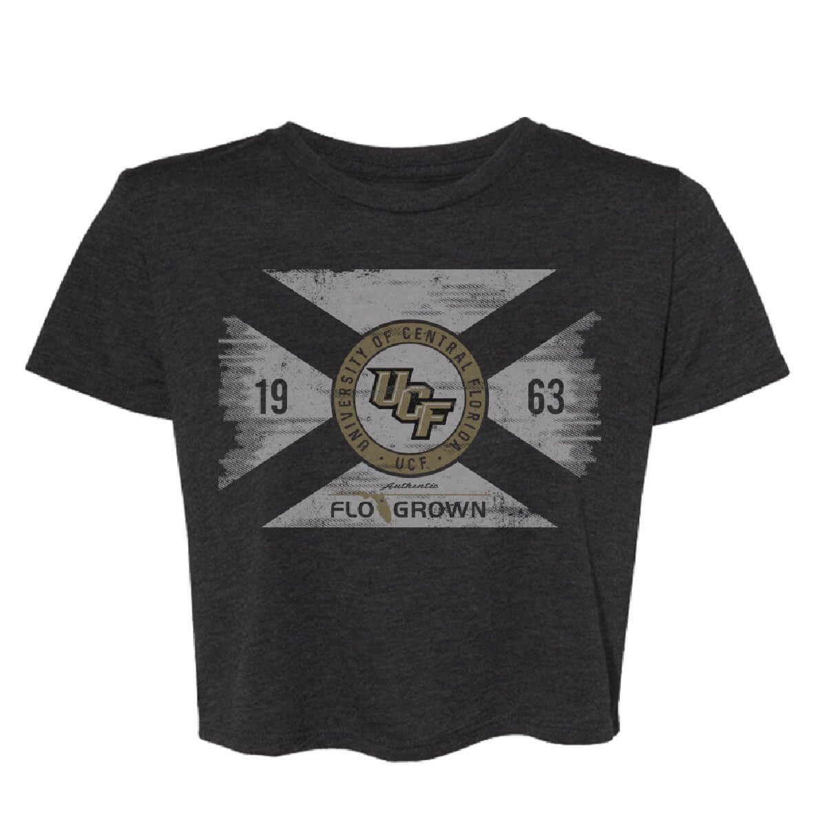 UCF Knights Washed Flag Crop Top