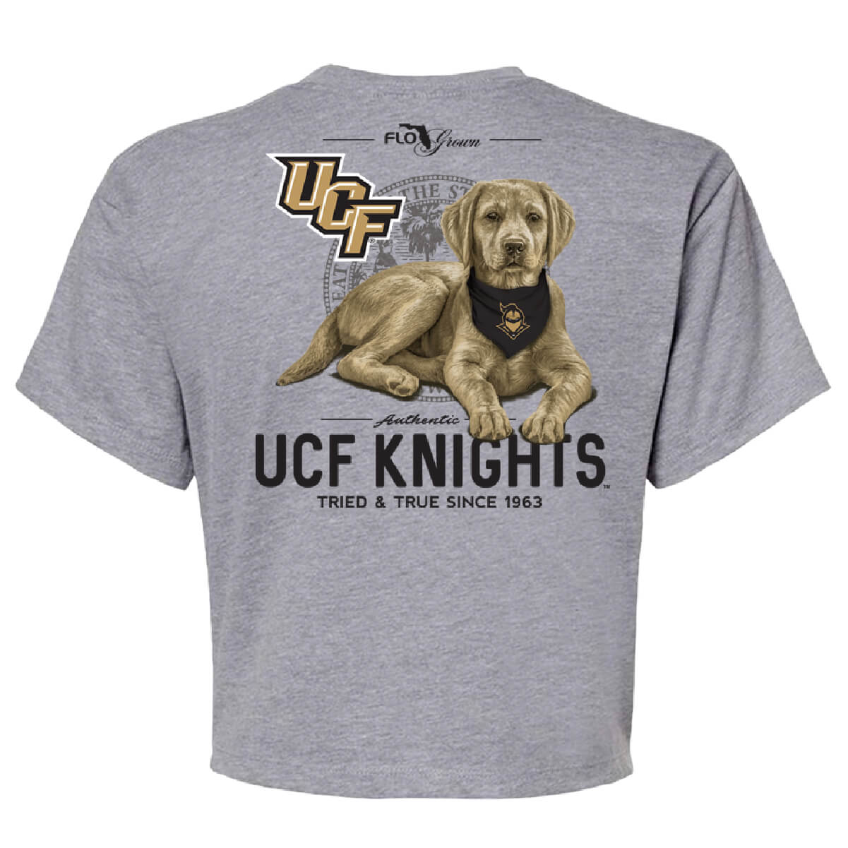 UCF Knights Tried & True Dog Crop Top - Back
