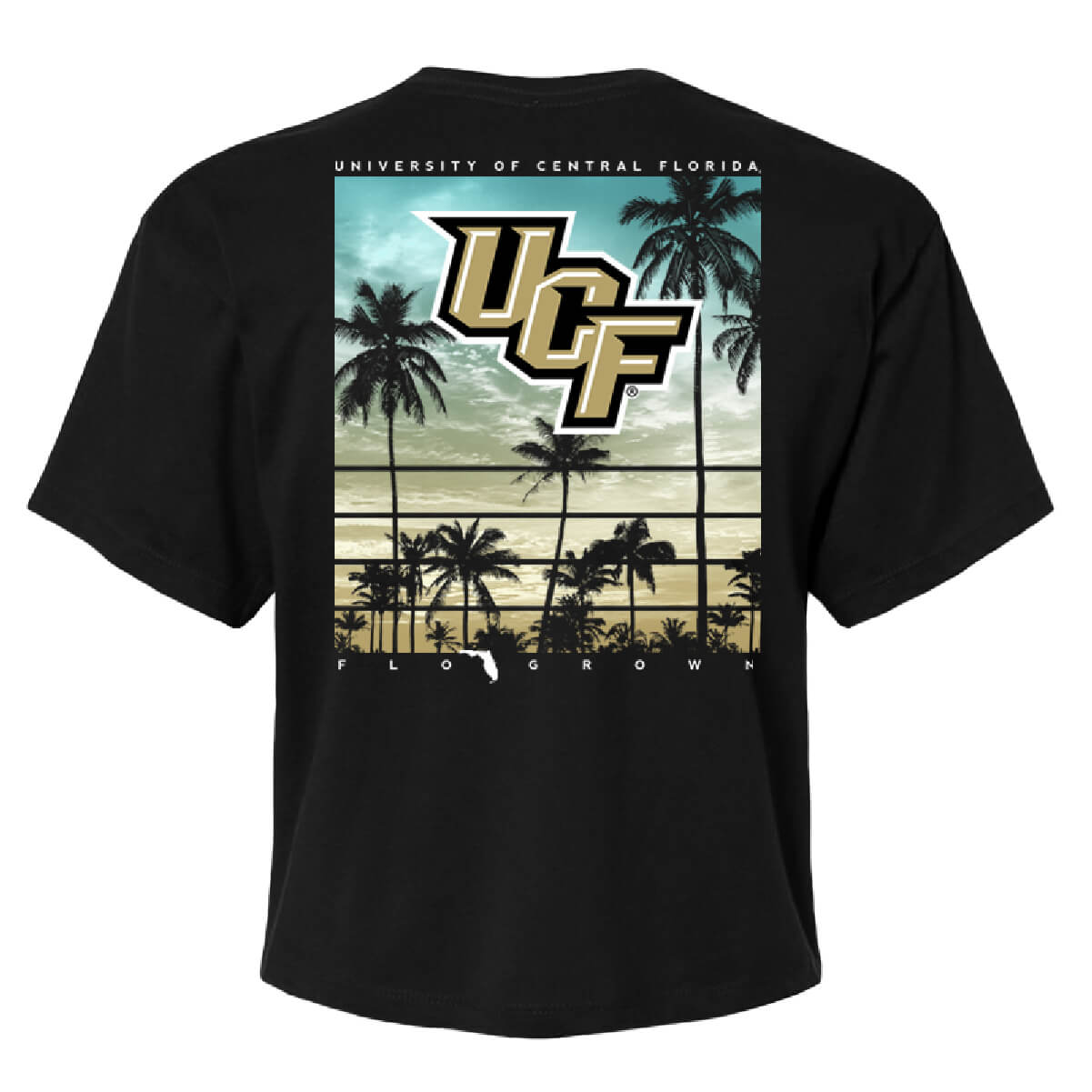 UCF Knights Sunset Crop Top - Back